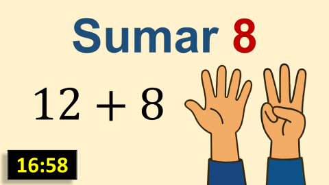 Sumar 8